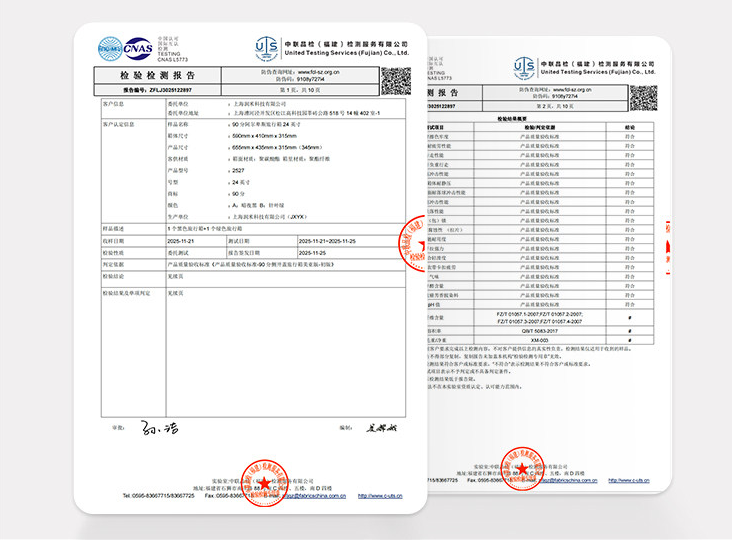 NinetyGo Alps Suitcase 20(S)