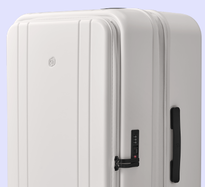 NinetyGo HOBO Pro Suitcase 24” (M)