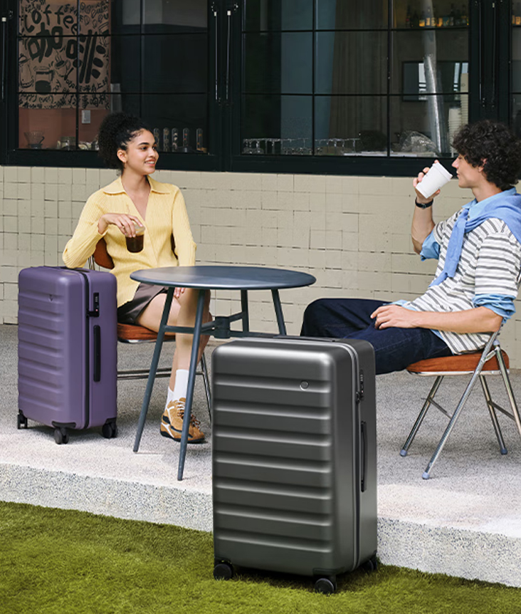 NinetyGo Rhine 2.0 Suitcase 26” (L)